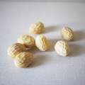 Vintage Plastic Walnuts