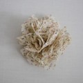 Chiffon Flower Pin