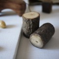 saltpepperlog1_th.JPG